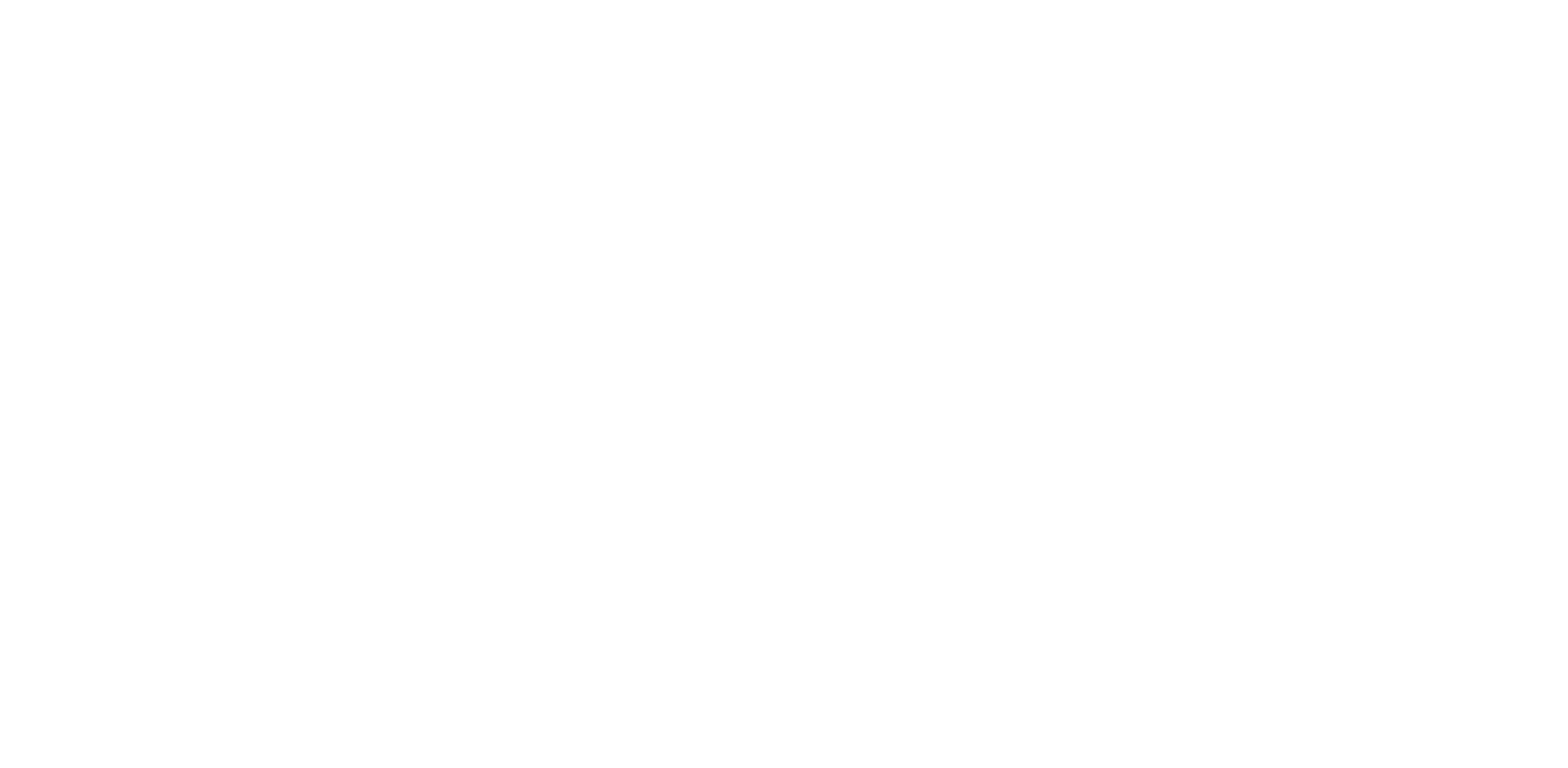 BIM special